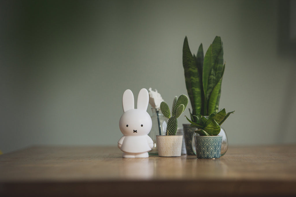 Miffy Hasen-Spardose S