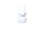 Miffy Hasen-Spardose S