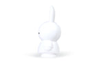 Tirelire Lapin Miffy M