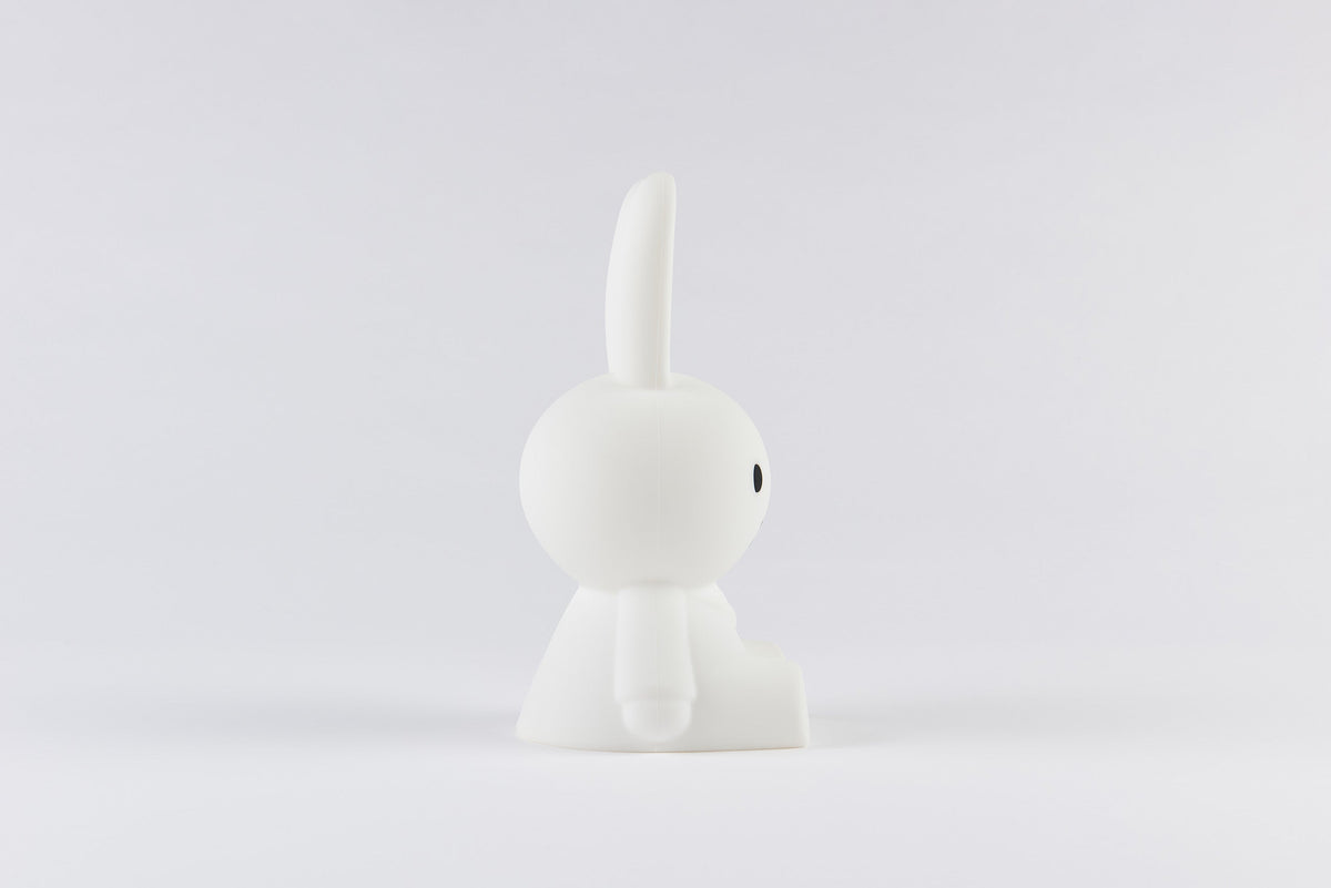 Mini-Nachtlicht Bundle of Light Miffy & Friends