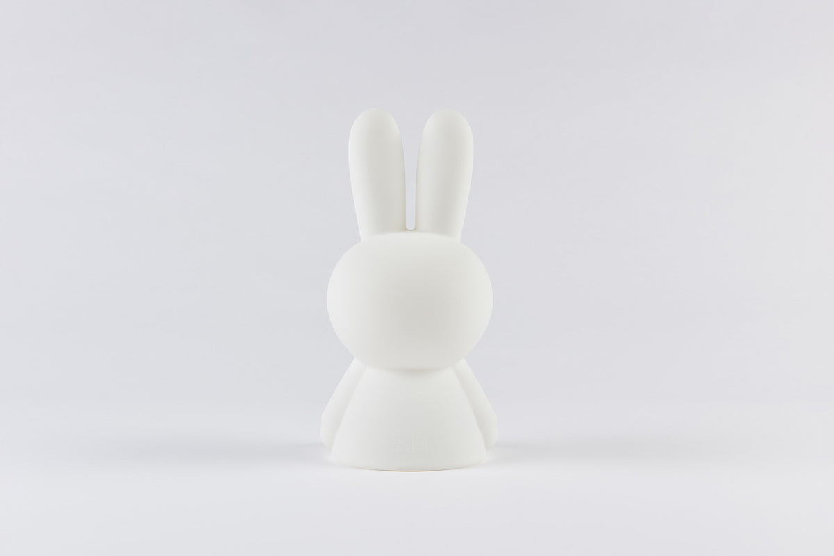 Mini-Nachtlicht Bundle of Light Miffy & Friends