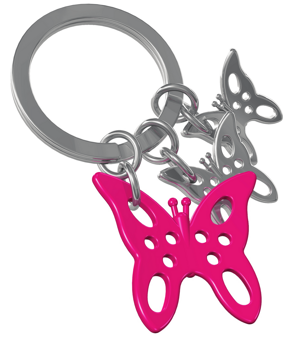 Pink butterfly key door