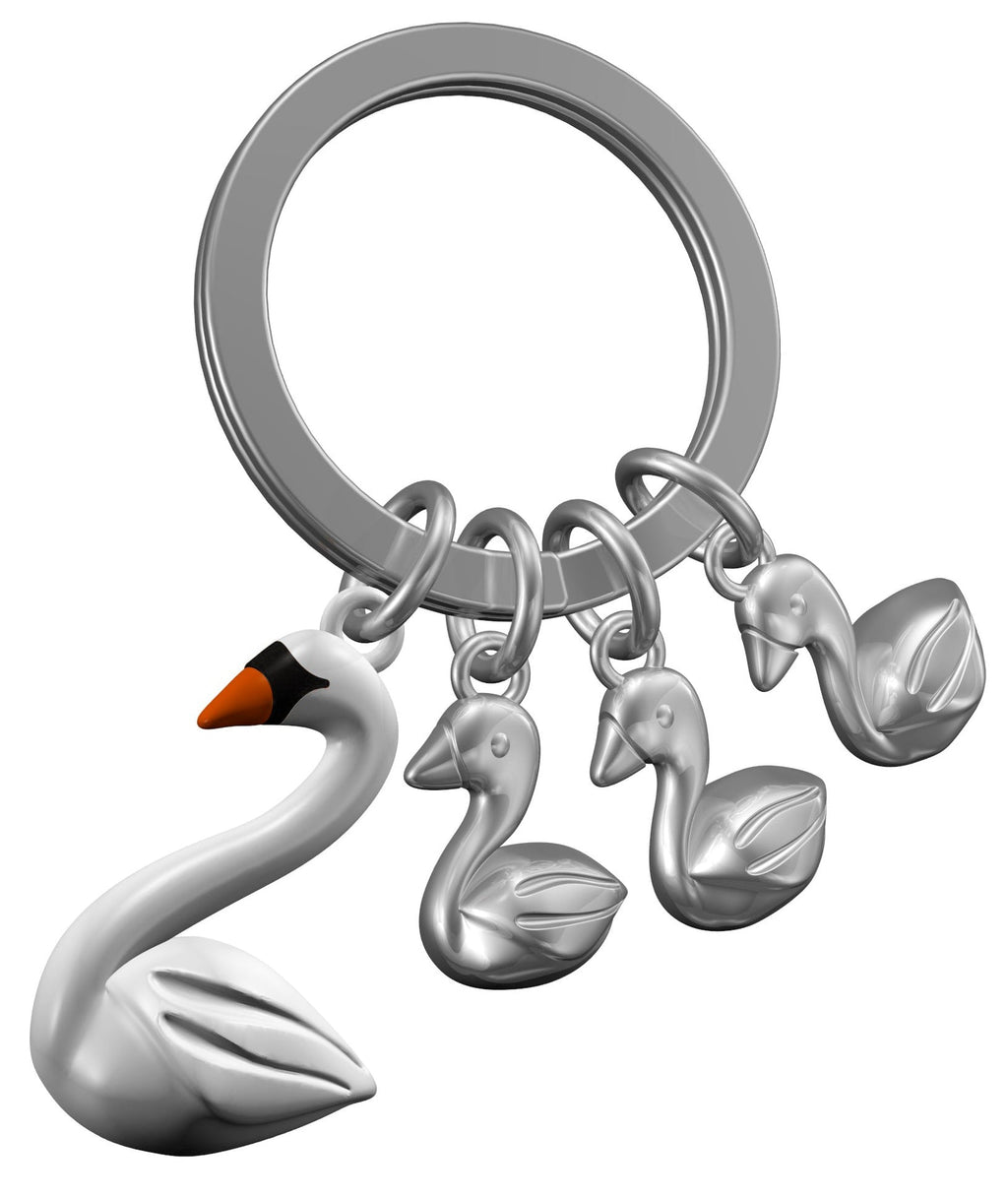 Swan key door