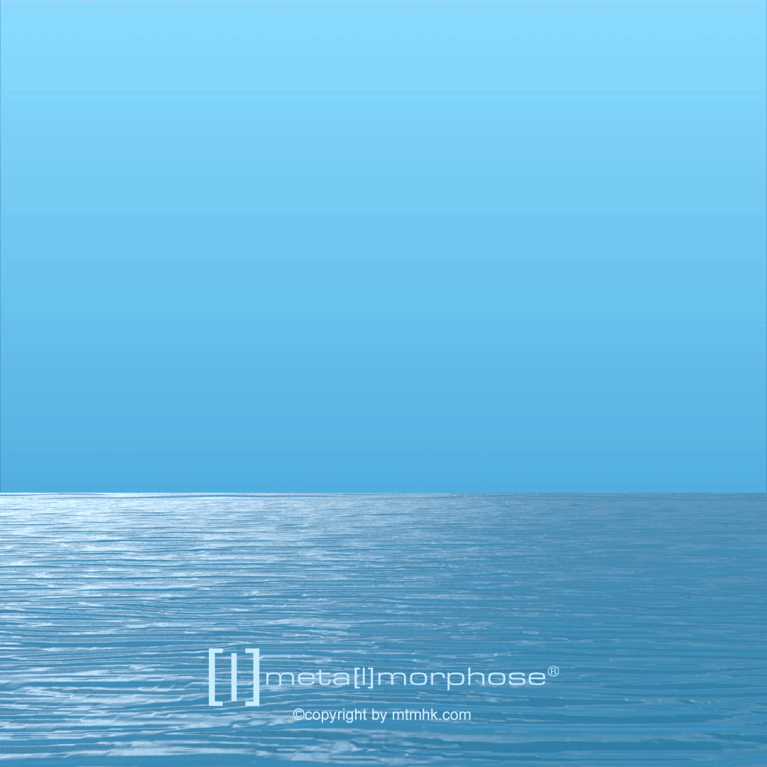 Porte clés Dauphins | Oggetti di design e regali originali