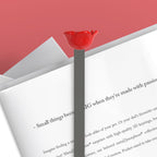 | Boutique d'objets cadeaux designs 