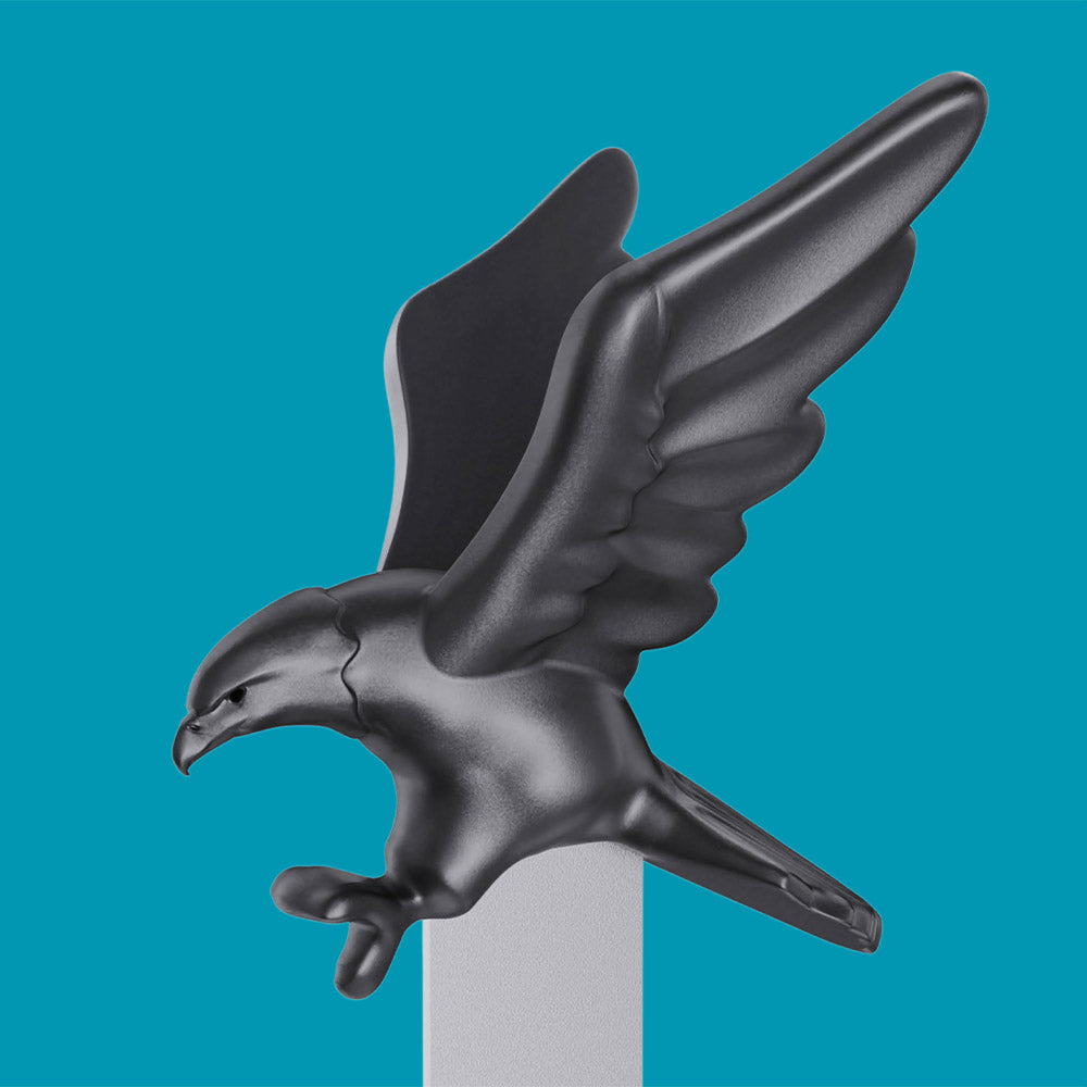 Marque-page Aigle Meta[l]morphose – vue principale