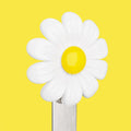 Marque-page Marguerite Meta[l]morphose – vue principale