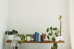 Miffy Rabbit Bookends