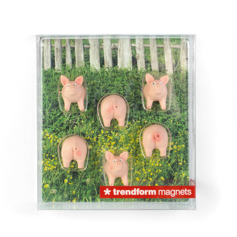 Regalo de diseño – magnets cochons trendform 