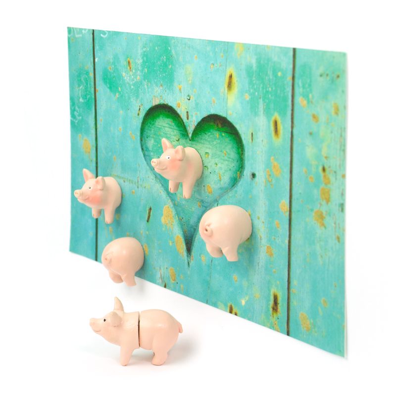 Regalo de diseño – magnets cochons trendform 