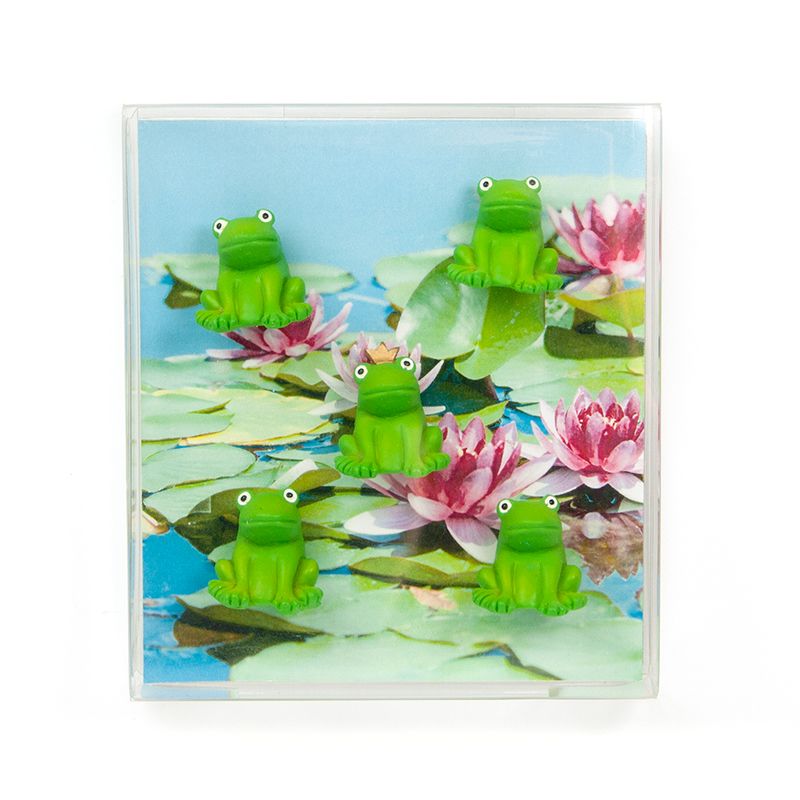 Regalo de diseño – magnets grenouilles trendform 
