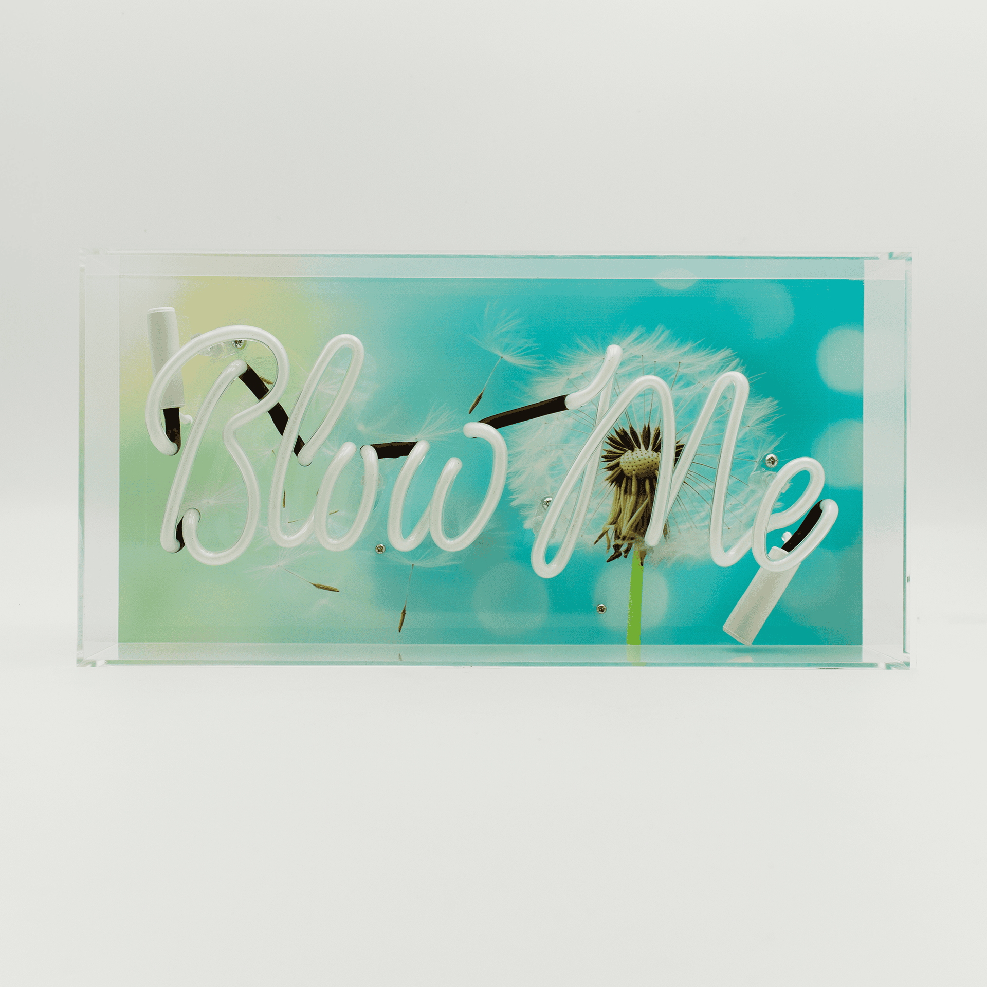 "Blow Me" Neon Box Sign