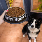 Gamelle et Abreuvoir « Happy hour » – Fisura – vue 4
