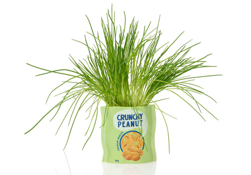 Pot de Fleur Cacahuètes en Céramique – Bitten
