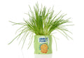 Pot de Fleur Cacahuètes en Céramique