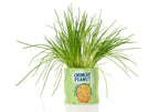Pot de Fleur Cacahuètes en Céramique