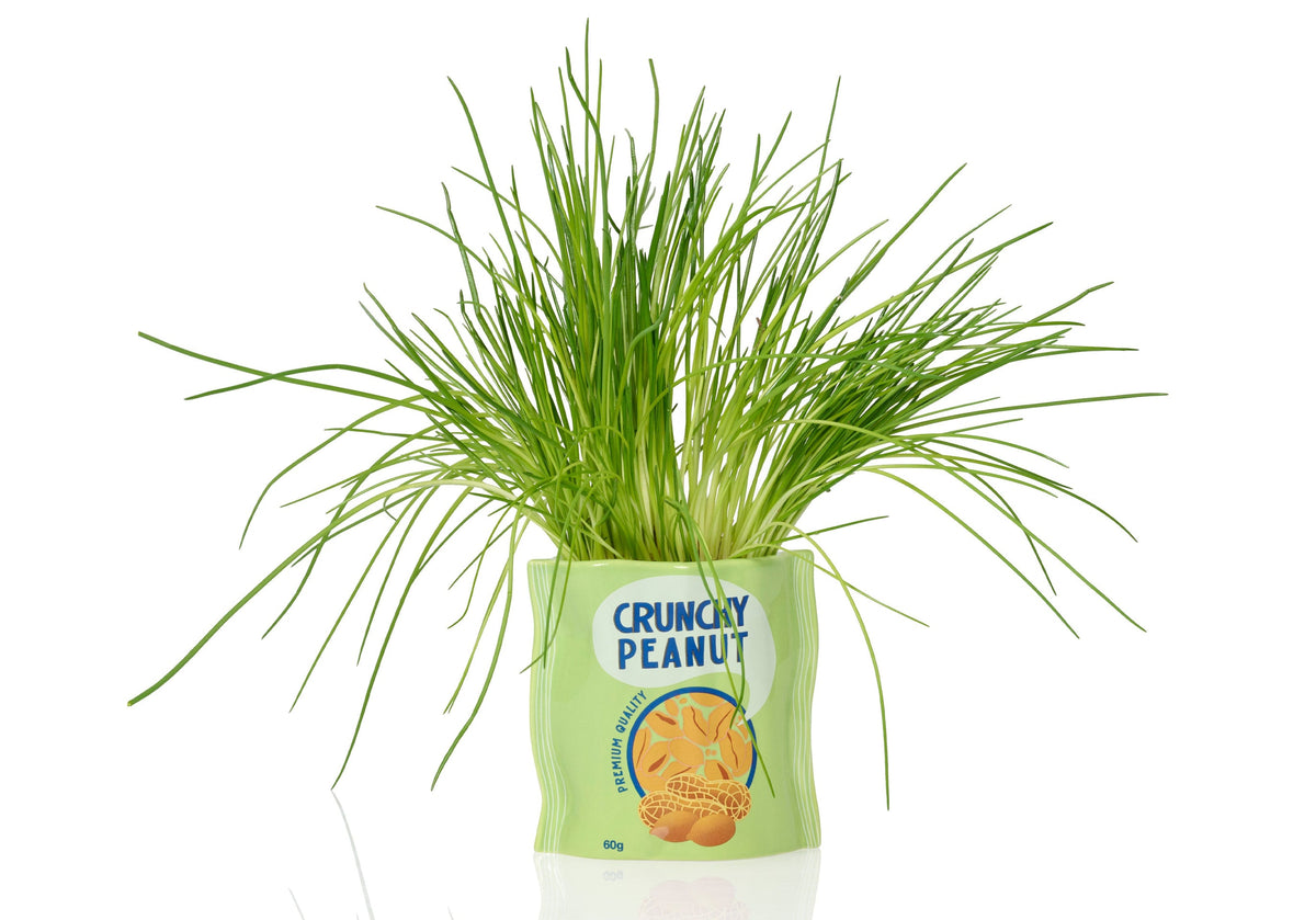 Pot de Fleur Cacahuètes en Céramique