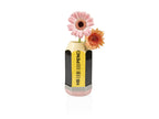 Vase Crayon – Bitten