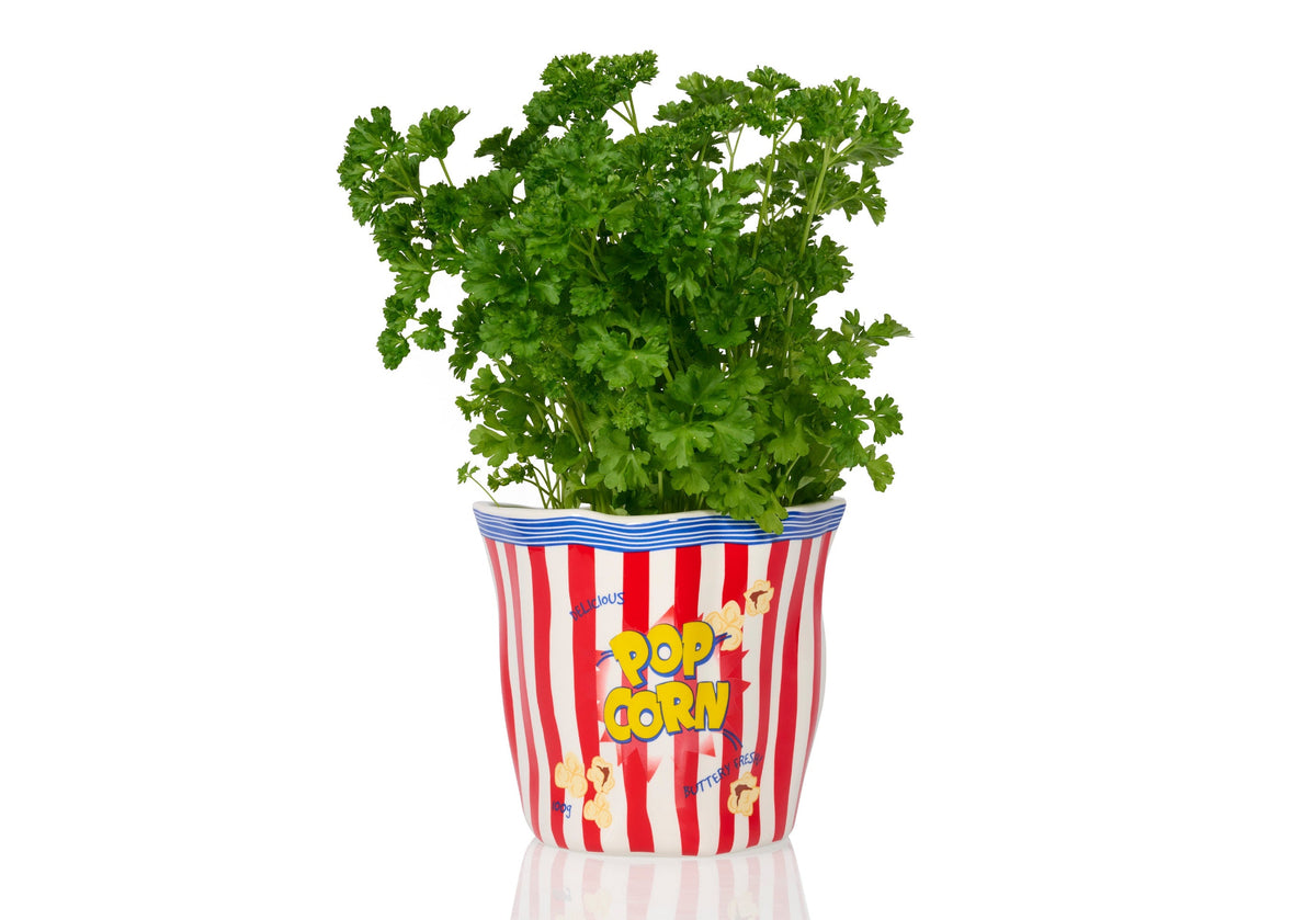 Pot de Fleur Pop-Corn en Céramique – Bitten