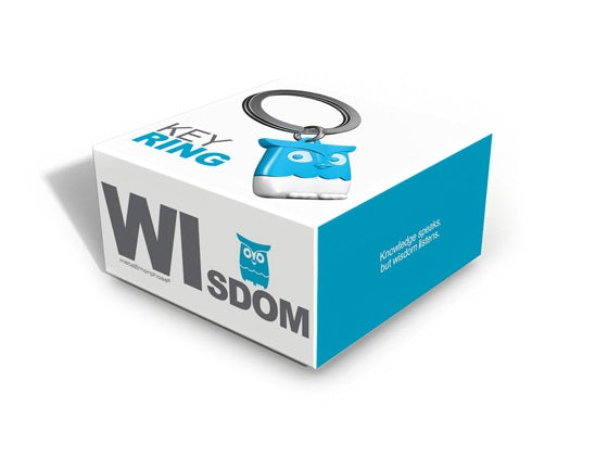 Designcadeau – porte cles hibou bleu metalmorphose 