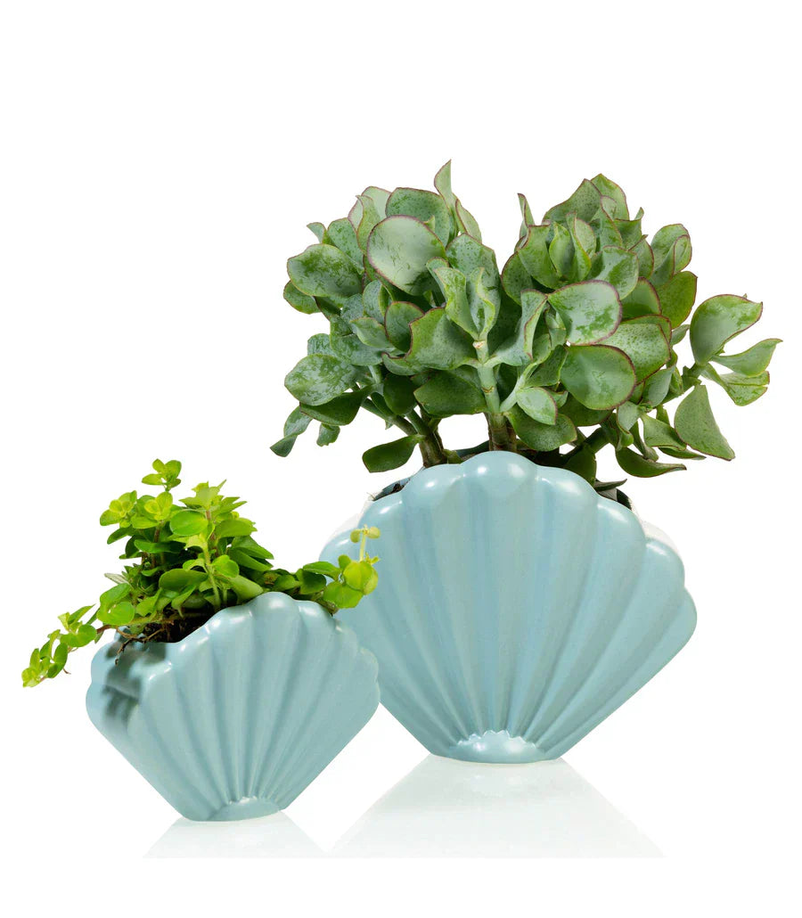 Oggetto regalo di design – pot coquillage bleu bitten BTT2054BL 4897038627561