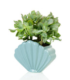 Oggetto regalo di design – pot coquillage bleu bitten 