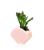 Pot de fleur Coquillage Rose Bitten – Cache-pot original