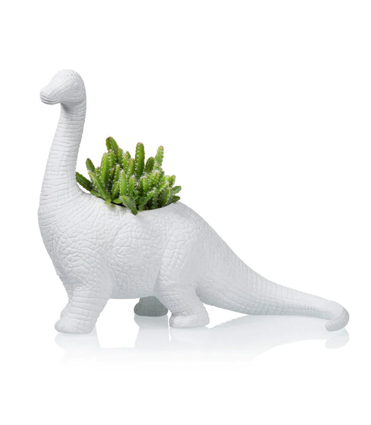 Plantosaurus dinosaurus pot