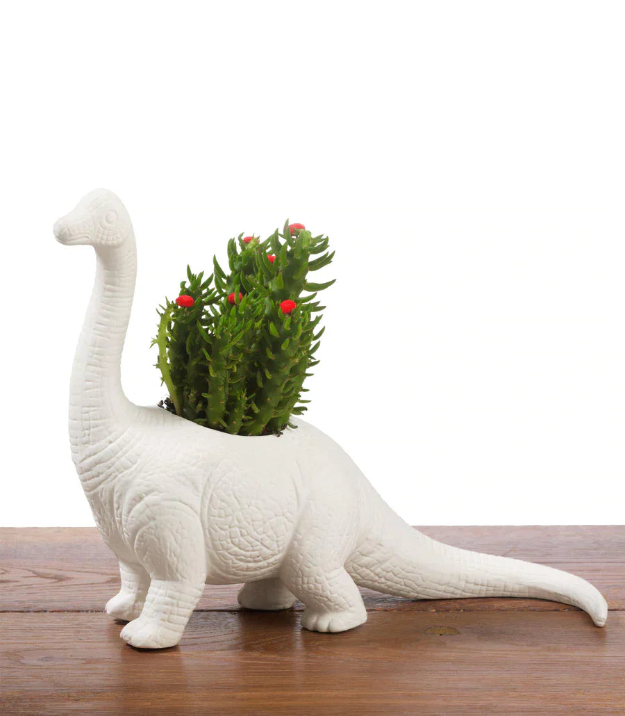 pot dinosaure plantosaurus bitten 