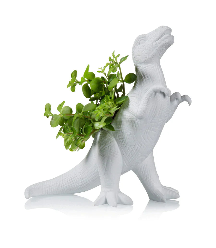 Oggetto regalo di design – pot dinosaure plantosaurus rex bitten BTT1774 4897038624973