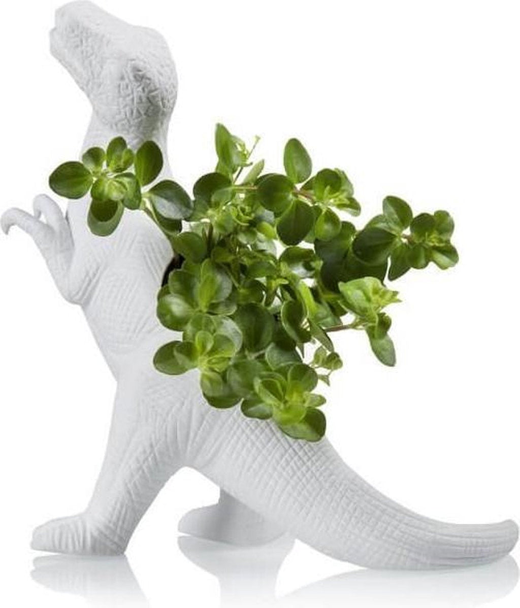 Oggetto regalo di design – pot dinosaure plantosaurus rex bitten 