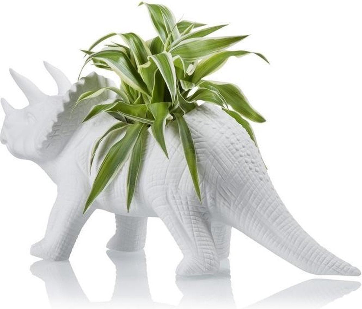 Regalo de diseño – pot dinosaure tricerapot bitten 