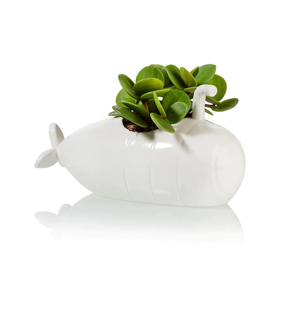 White submarine pot