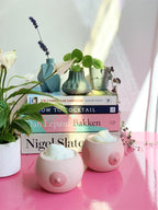 Regalo de diseño – pot de fleur seins 