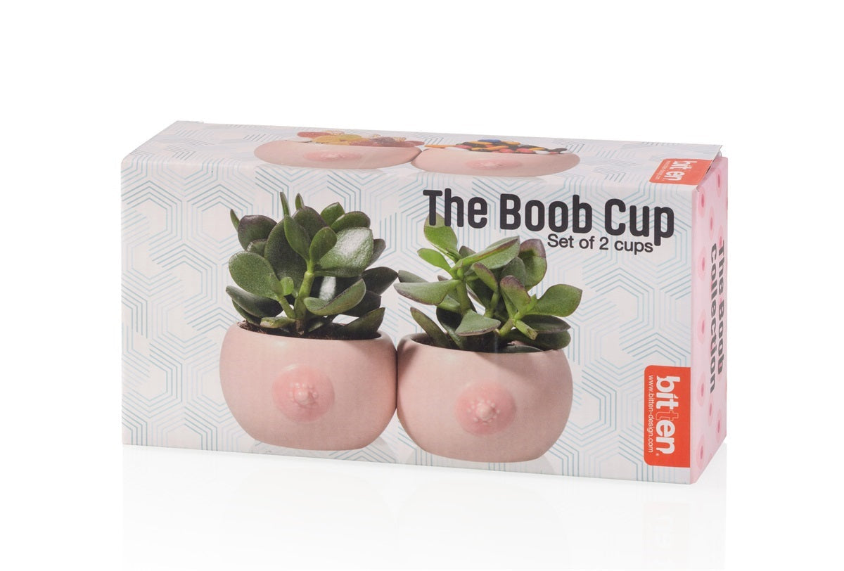 boob pot plant Boob Flower Pot – Original planter – Cool Design