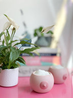 Regalo de diseño – pot de fleur seins 