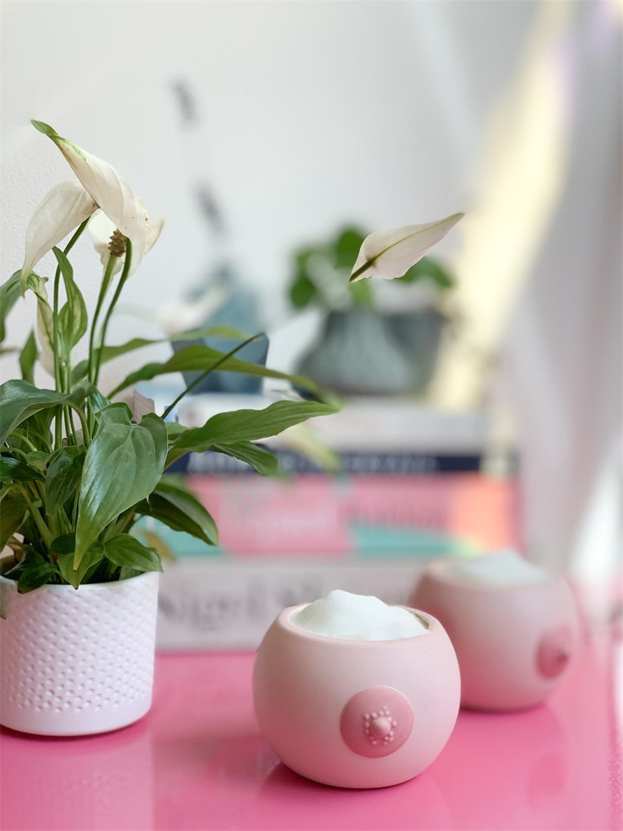 Regalo de diseño – pot de fleur seins 