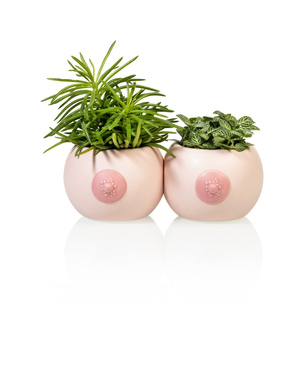 Regalo de diseño – pot de fleur seins 
