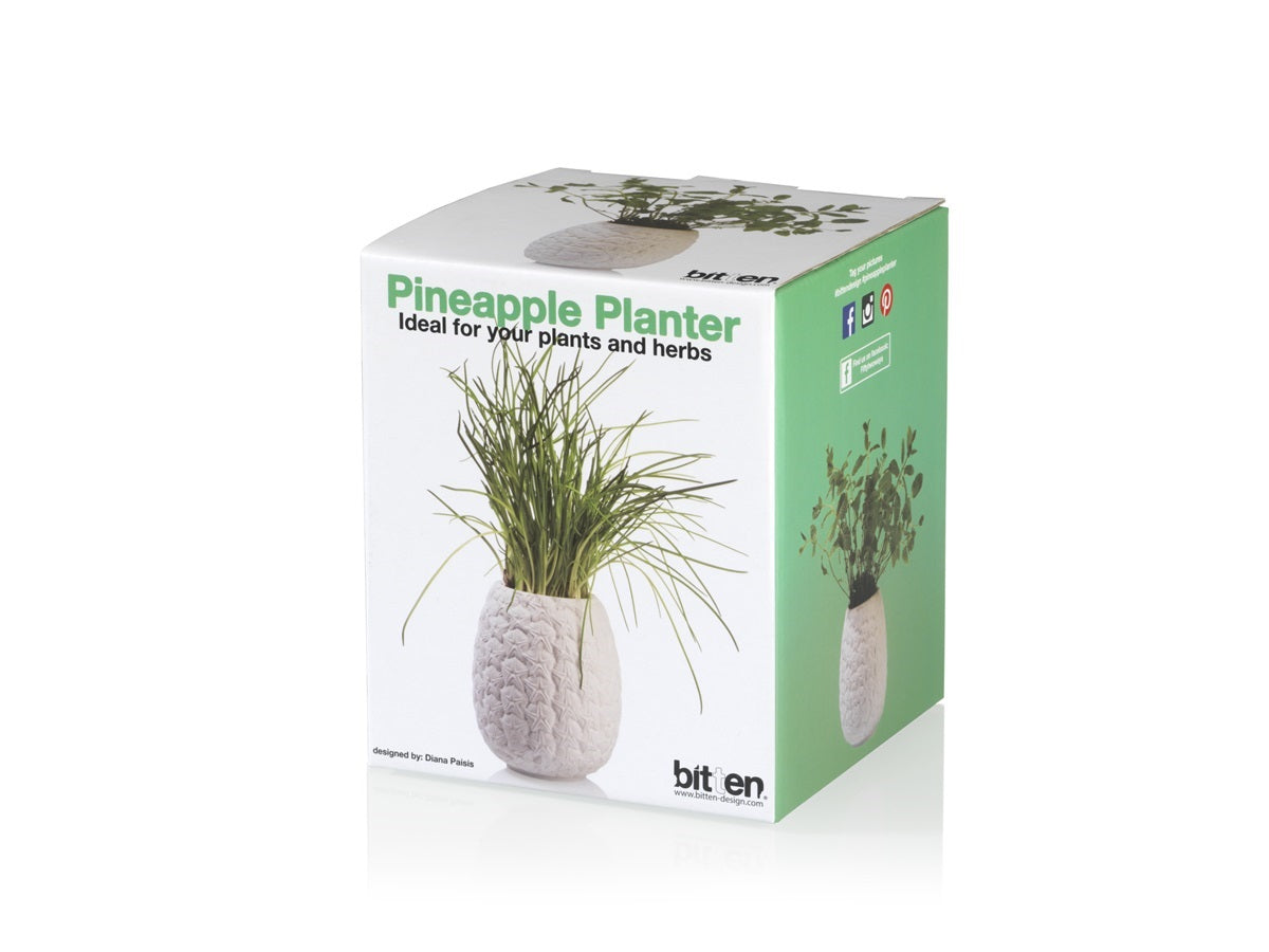 Oggetto regalo di design – pot de fleur ananas bitten 