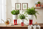 Pot de fleur Bottes Wellington Rouge Bitten – Cache-pot original
