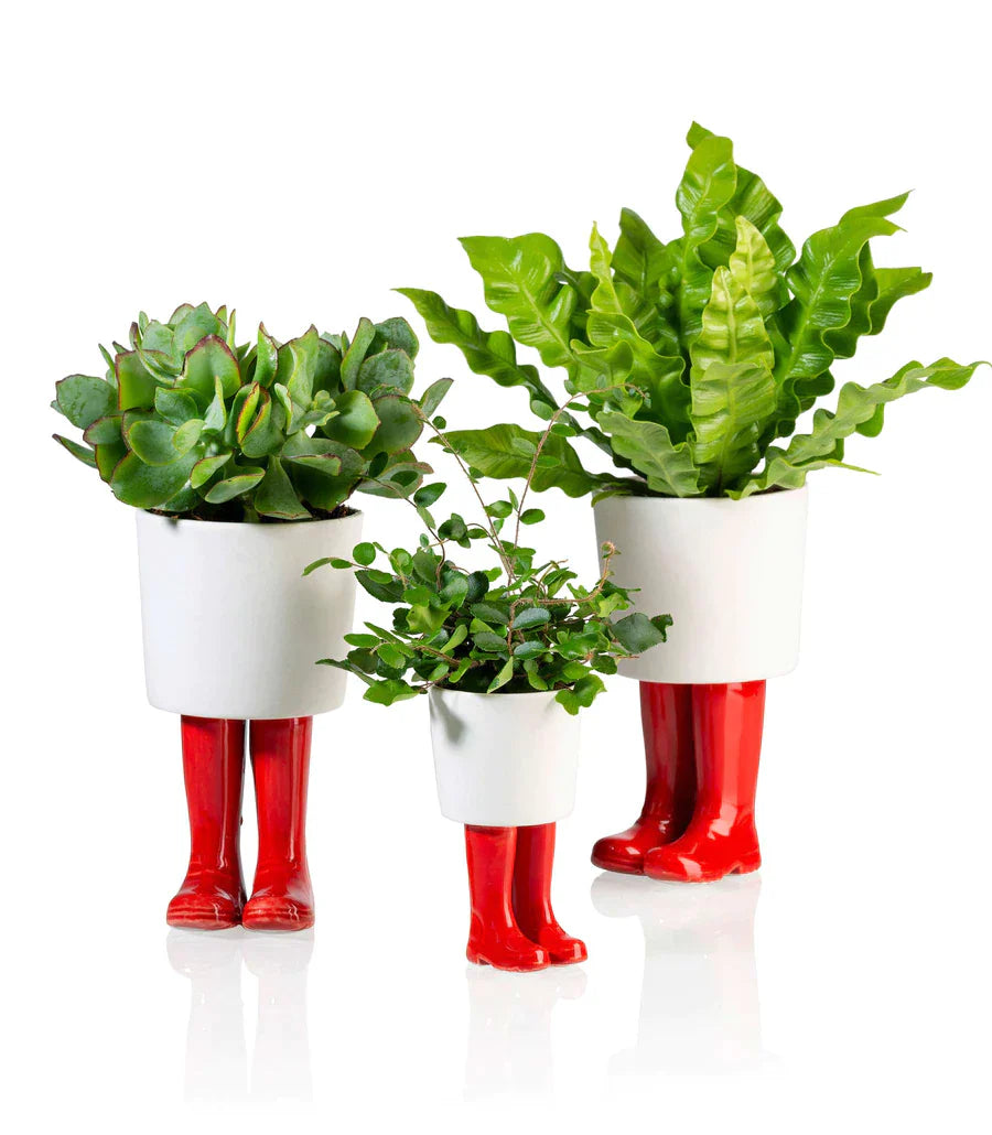 pot de fleur bottes wellington rouge bitten BTT2103RD 4897038627813