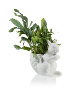 pot de fleur ecureuil bitten 