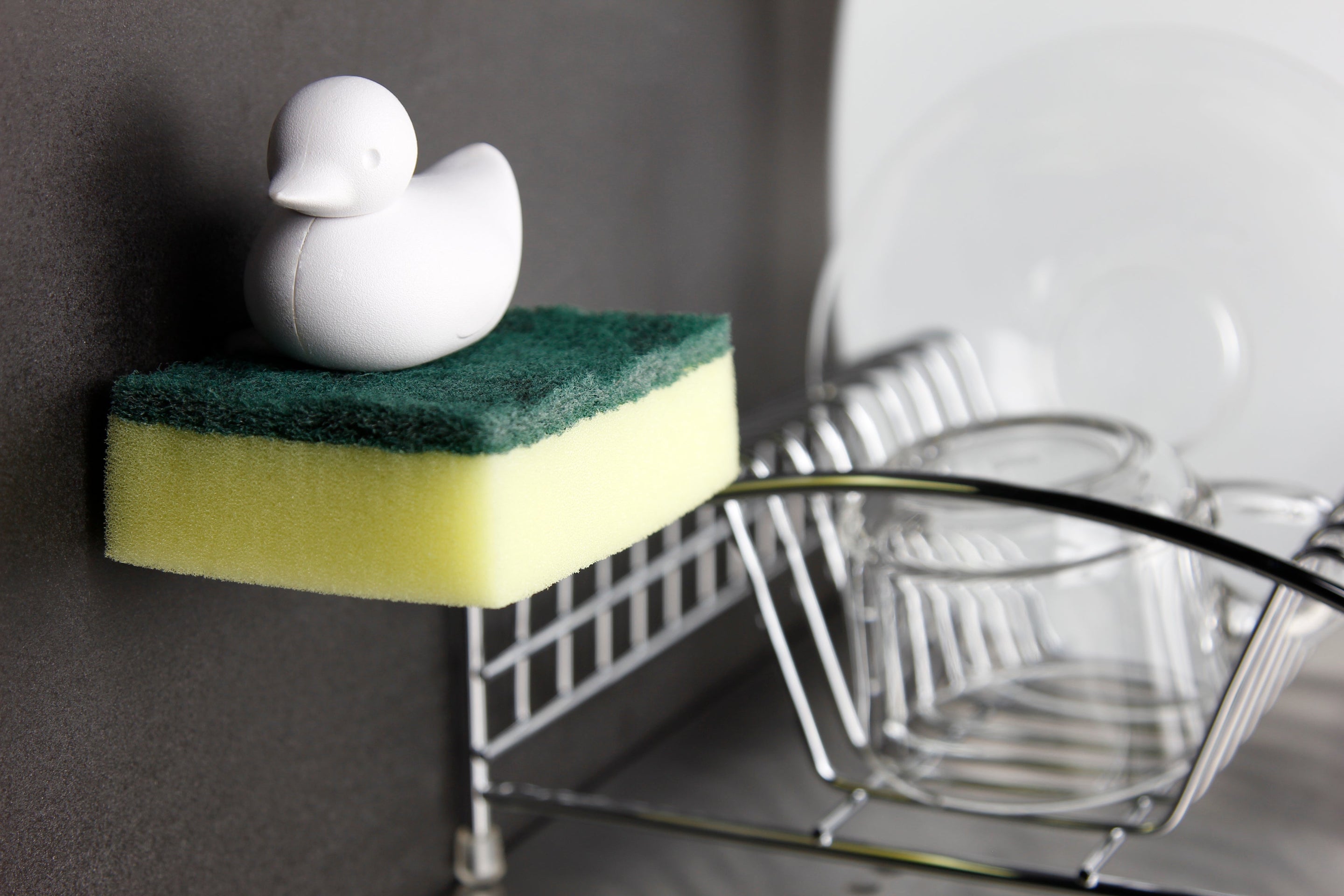 Porte éponge Canard | Designproducten en originele cadeaus