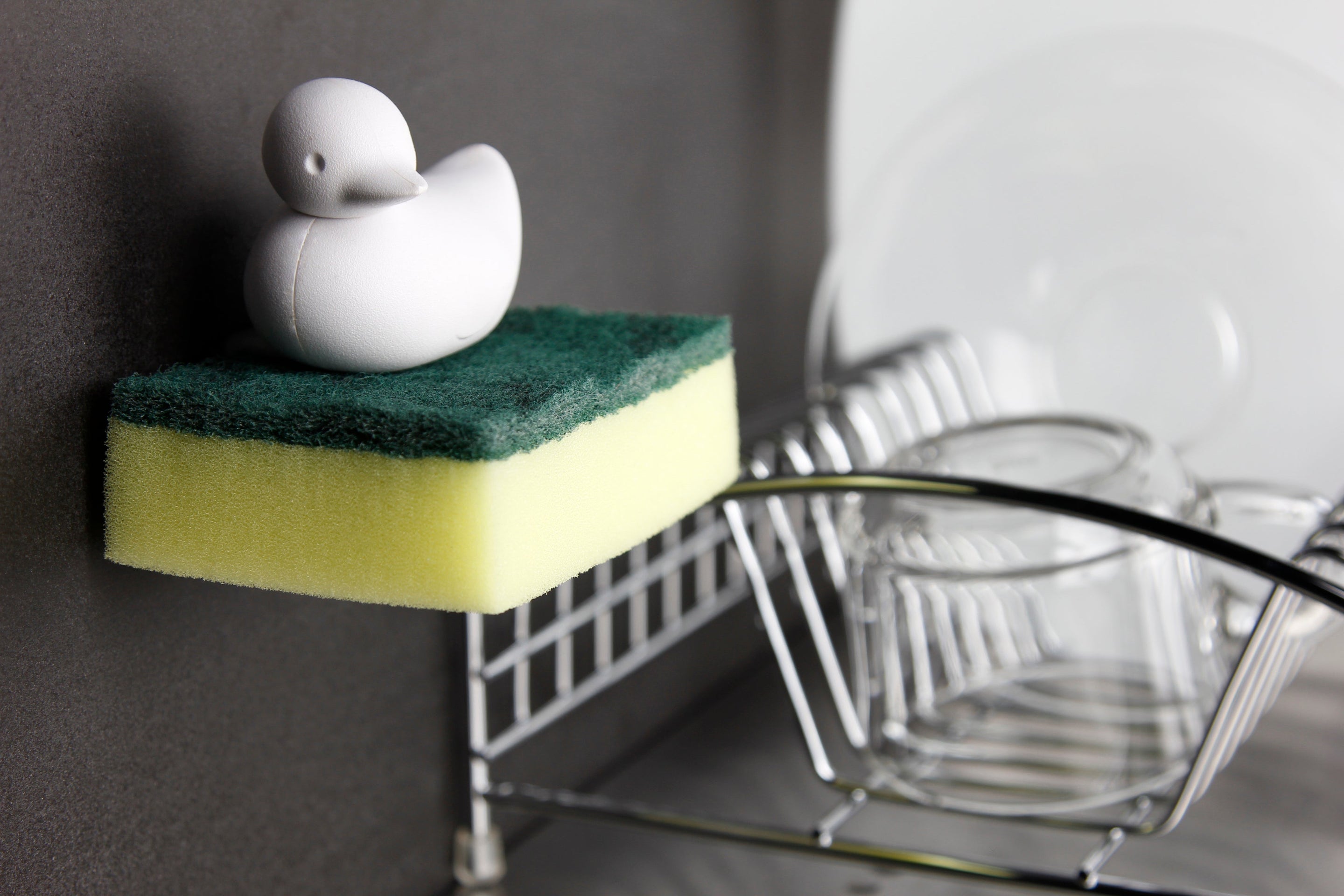 Porte éponge Canard | Designproducten en originele cadeaus