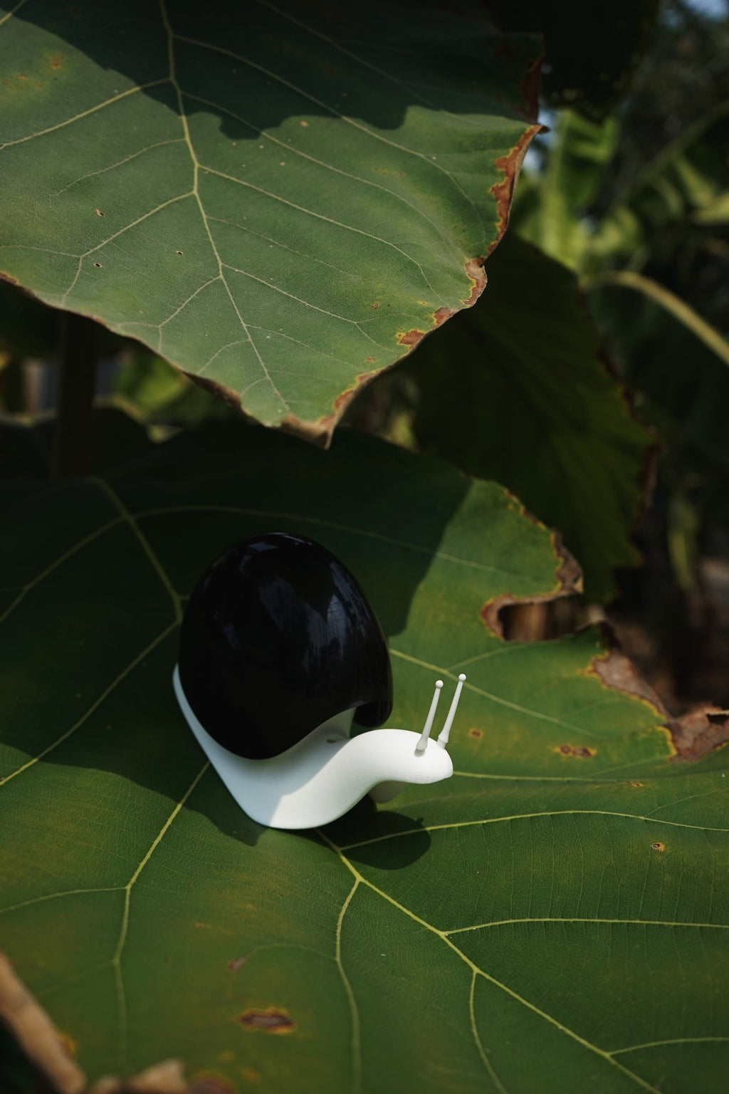 Distributeur de Savon Escargot