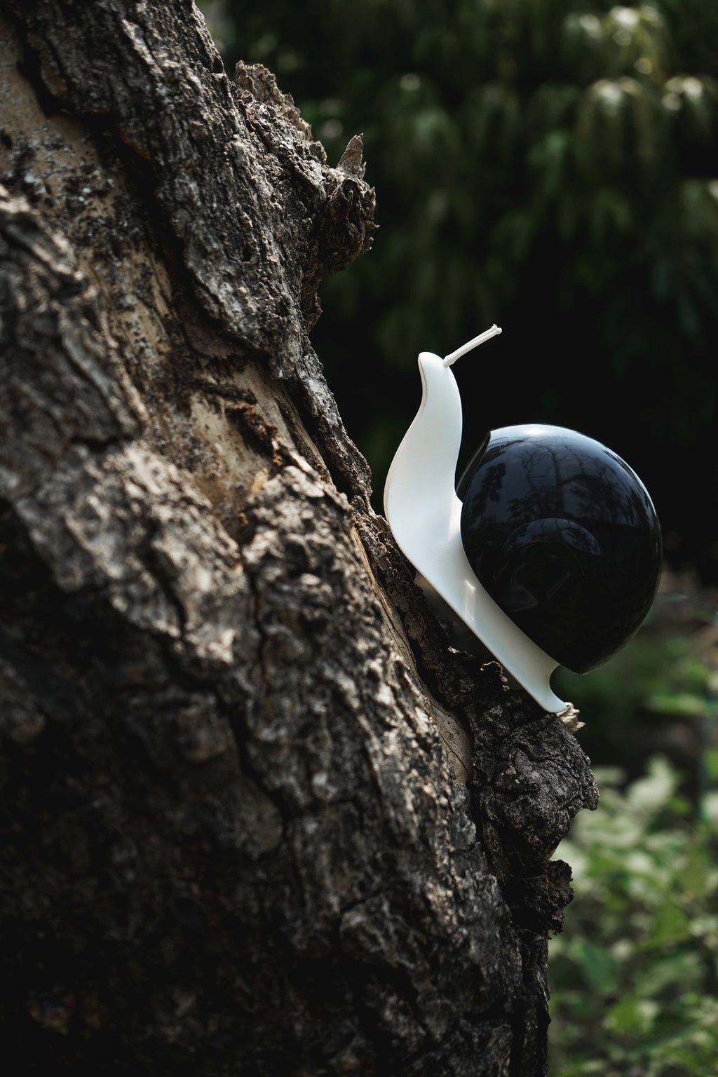 Distributeur de Savon Escargot