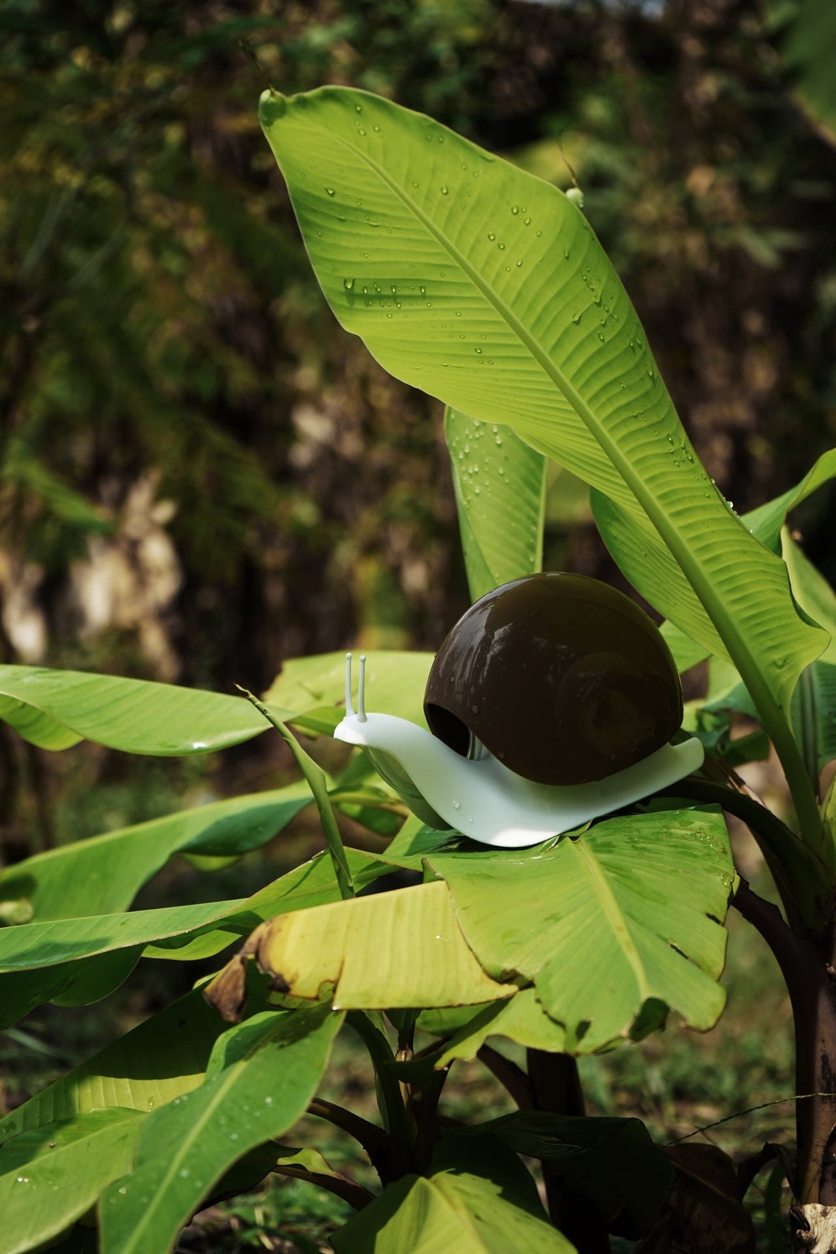 Distributeur de Savon Escargot