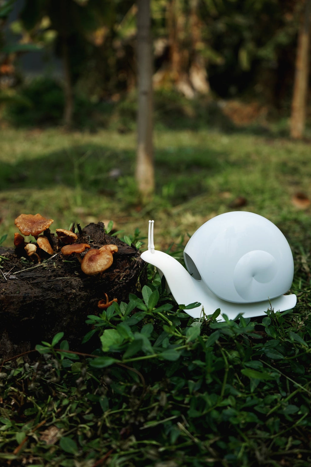 Distributeur de Savon Escargot