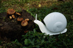 Distributeur de Savon Escargot