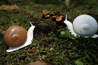 Distributeur de Savon Escargot
